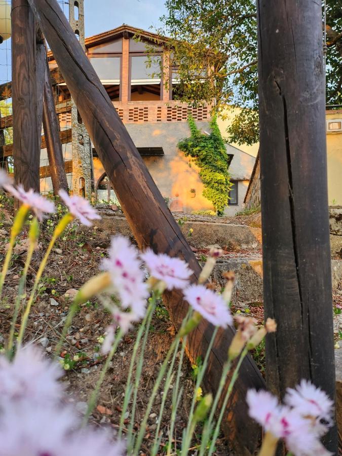 Il Giuggiolo - La Collina Della Quiete Bed & Breakfast Certaldo Exterior photo